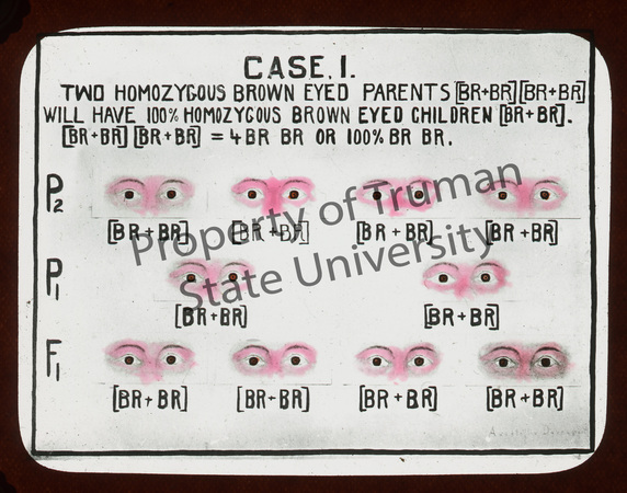 Case-I-Eyes-wm.jpg
