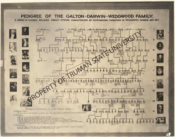 Pedigree-Galton-Darwin-Wedgewood-Family-wm.jpg