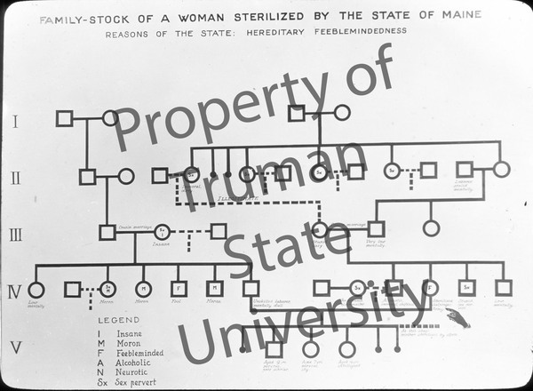 Family-Stock-Woman-Sterilized-by-Maine-wm.jpg